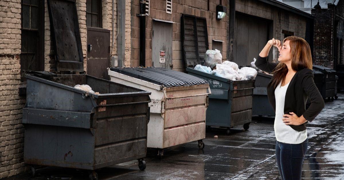Dealing With Dumpster Smell— Chicago, IL — Tri-State Disposal