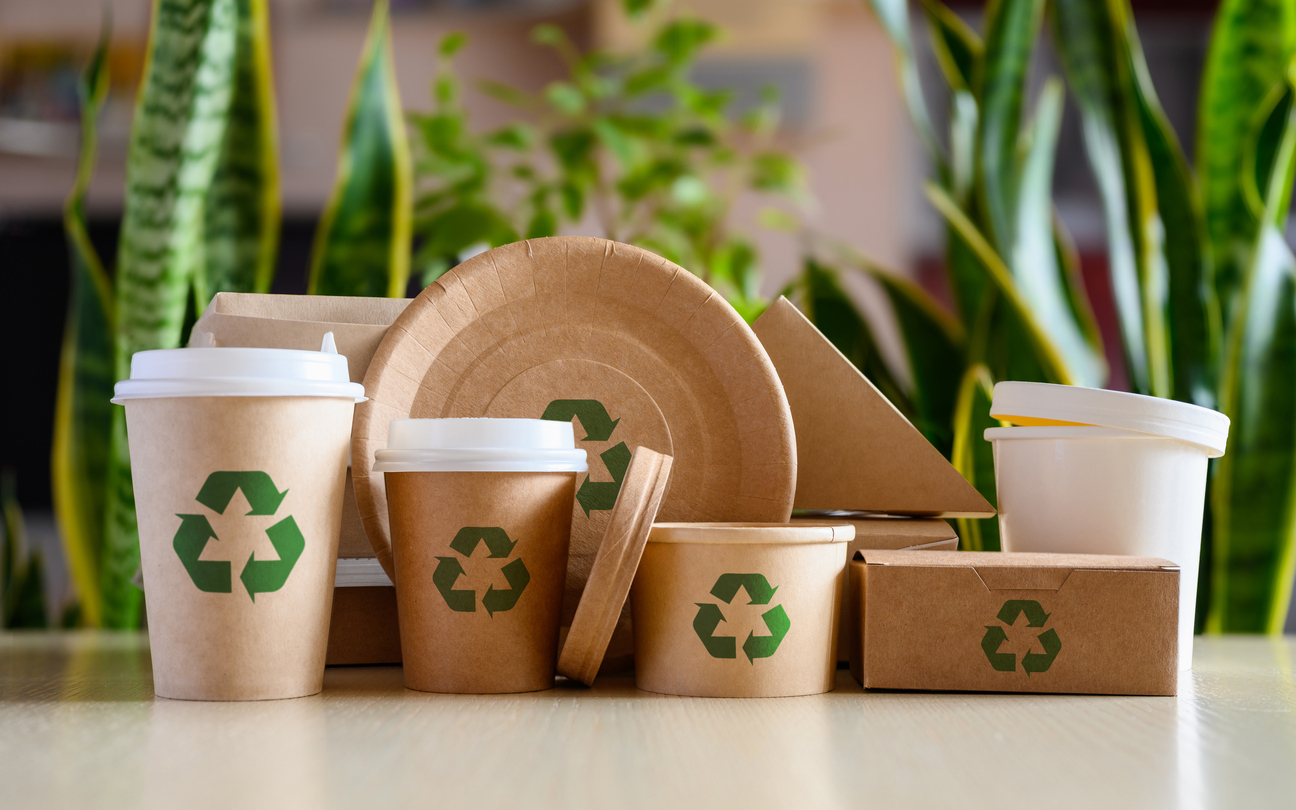 What Does Biodegradable Mean A Quick Guide